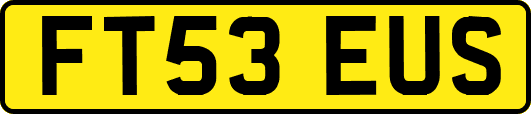 FT53EUS