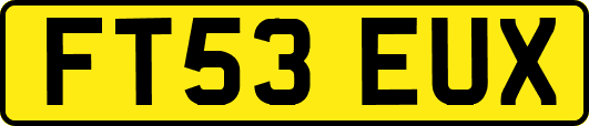 FT53EUX