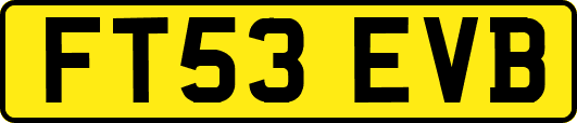 FT53EVB