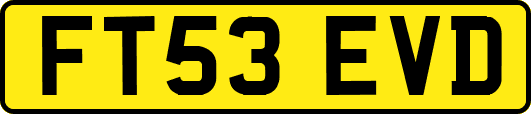 FT53EVD