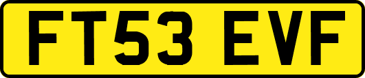 FT53EVF