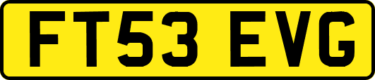 FT53EVG