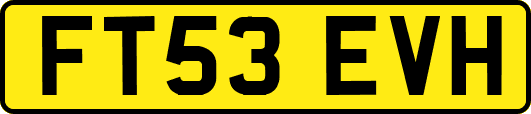 FT53EVH