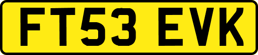 FT53EVK