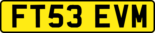 FT53EVM