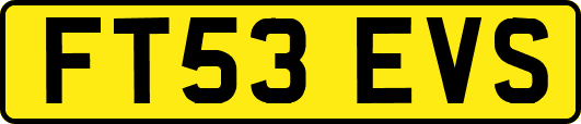 FT53EVS