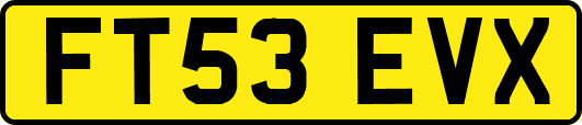 FT53EVX