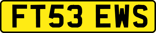 FT53EWS