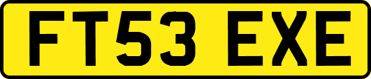 FT53EXE