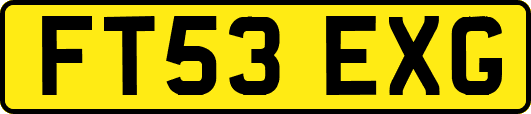 FT53EXG