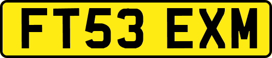 FT53EXM