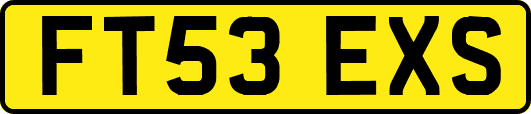 FT53EXS