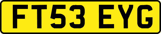 FT53EYG