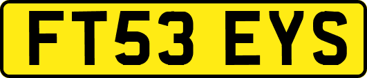 FT53EYS
