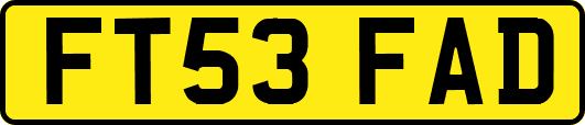 FT53FAD