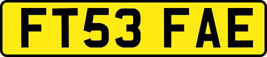 FT53FAE