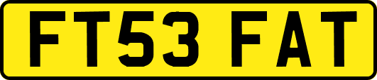 FT53FAT