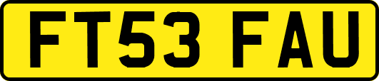 FT53FAU