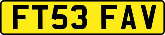 FT53FAV