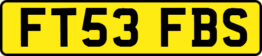 FT53FBS