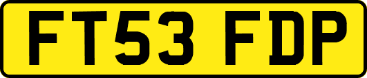 FT53FDP