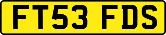 FT53FDS