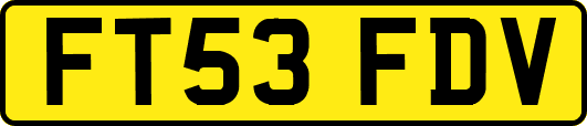 FT53FDV