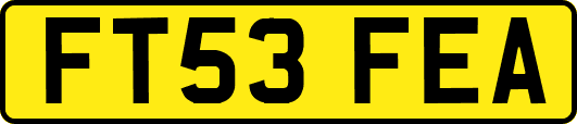 FT53FEA
