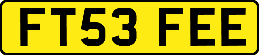 FT53FEE