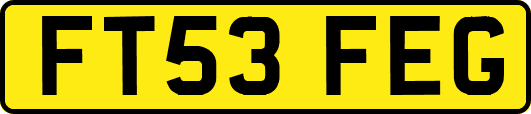 FT53FEG