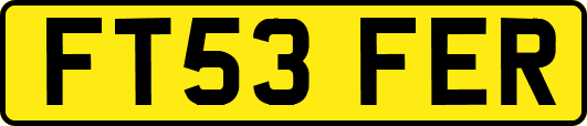 FT53FER