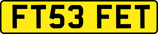 FT53FET