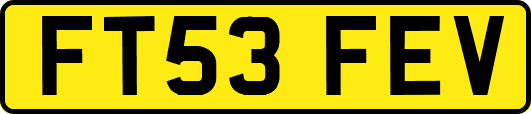 FT53FEV