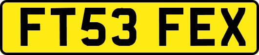 FT53FEX