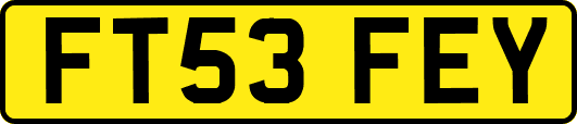 FT53FEY