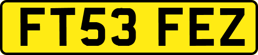 FT53FEZ