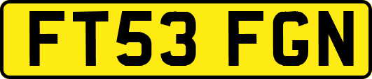 FT53FGN