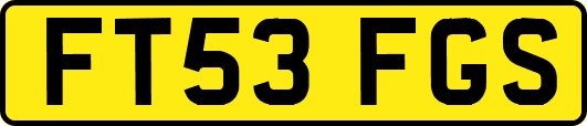 FT53FGS