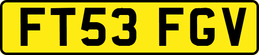 FT53FGV