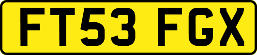 FT53FGX