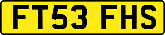 FT53FHS