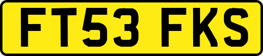 FT53FKS