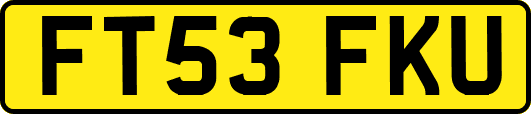 FT53FKU
