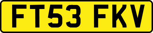 FT53FKV