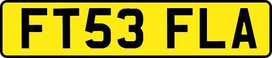 FT53FLA