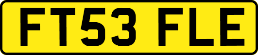 FT53FLE