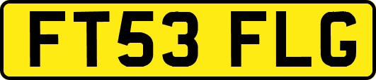 FT53FLG