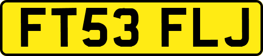 FT53FLJ