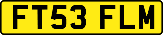 FT53FLM