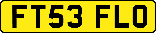 FT53FLO